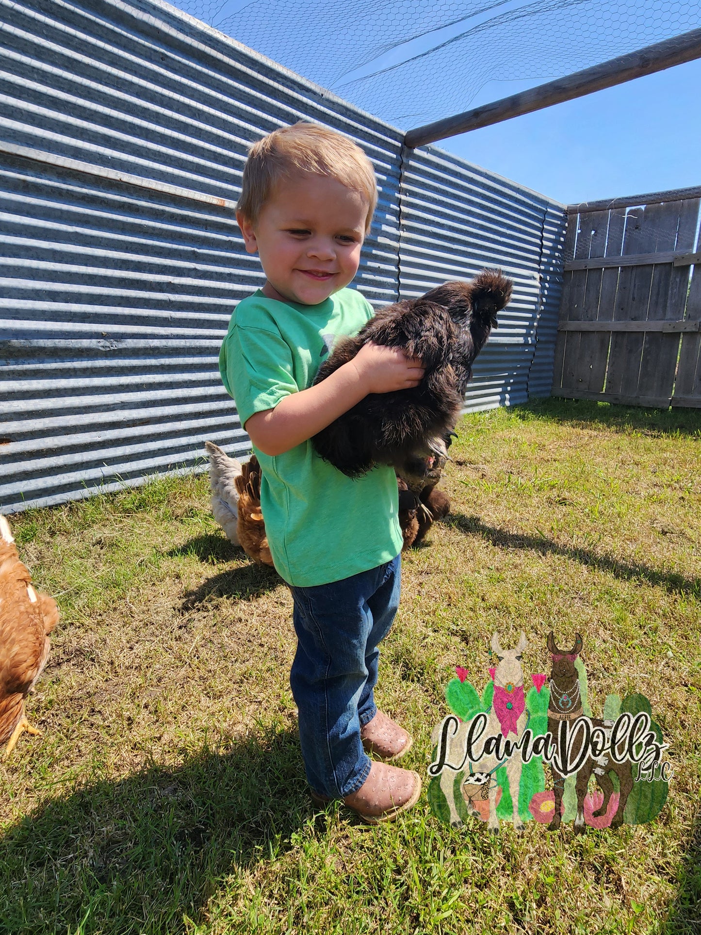 Chicken Wrangler